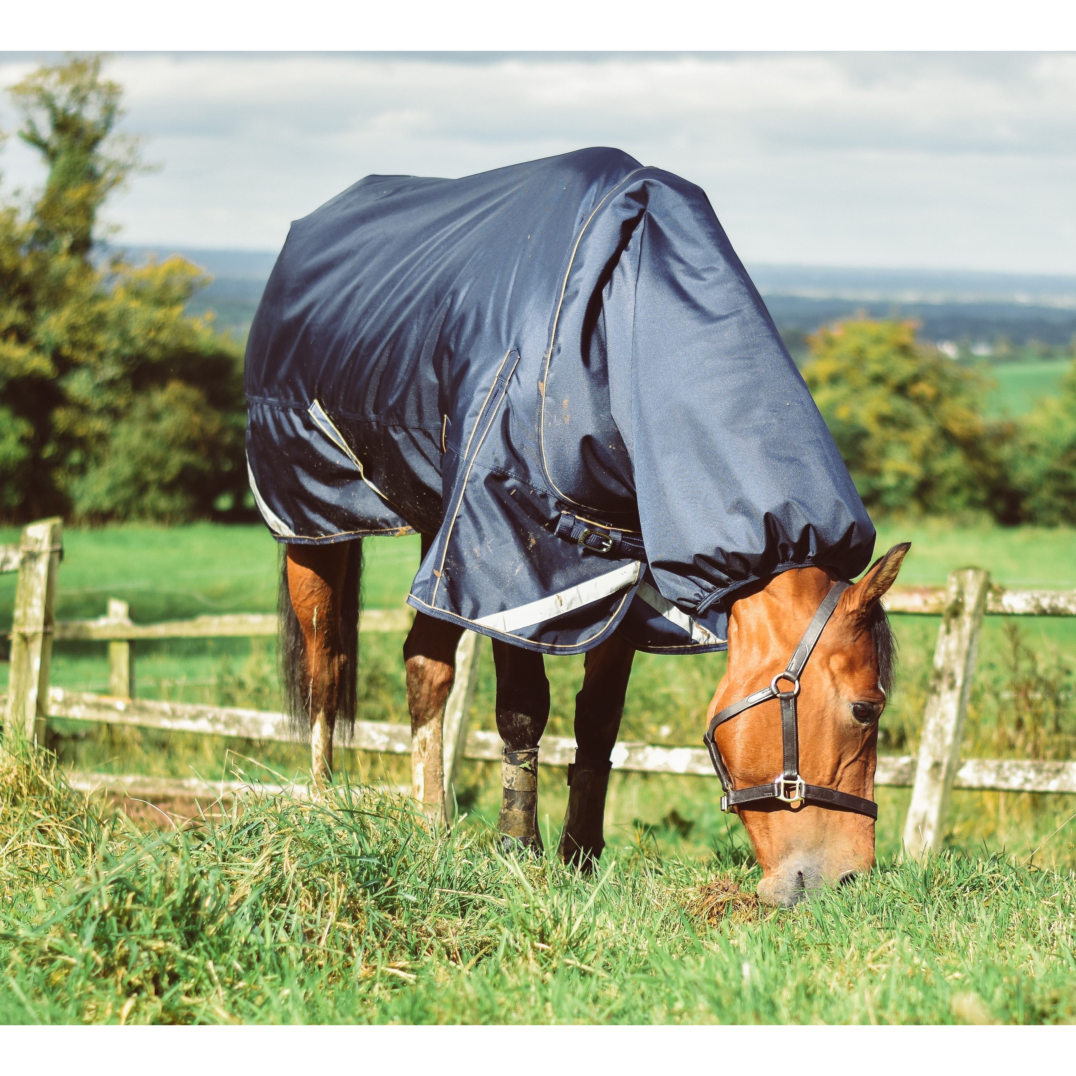 Mackey Wicklow Turnout Rug with Detachable Neck - Image 2
