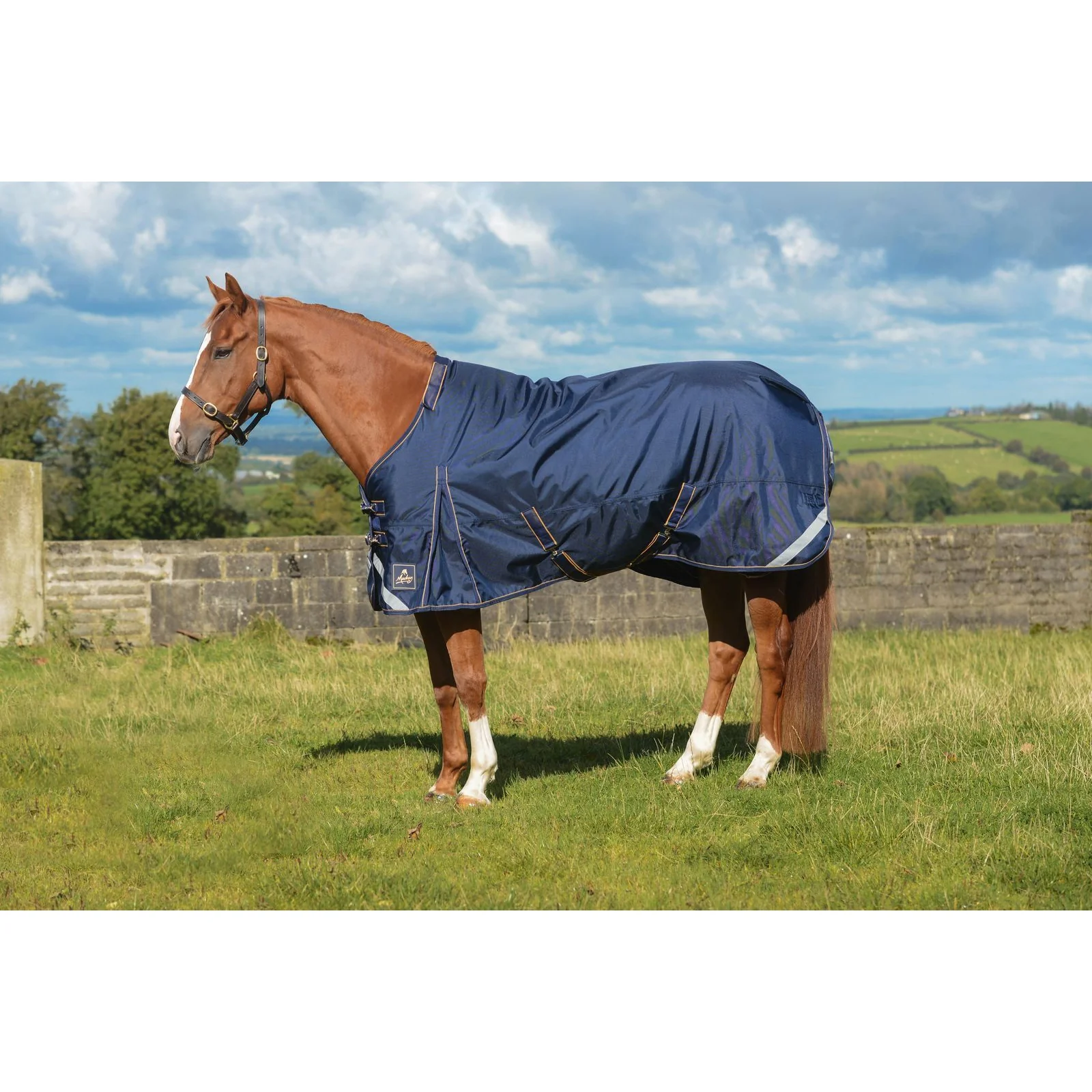 Mackey Wicklow Turnout Rug with Detachable Neck - Image 3