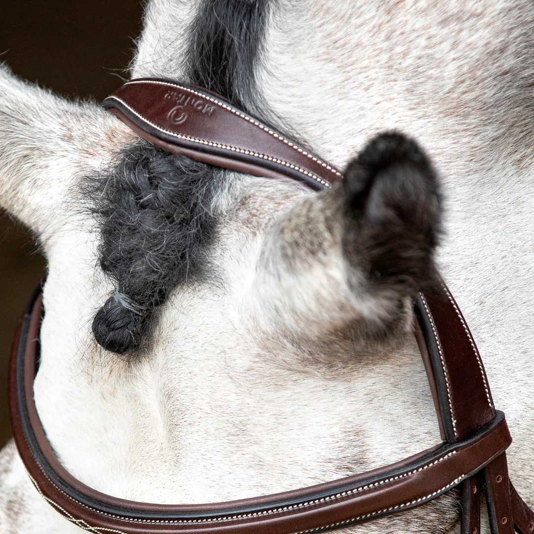 Montar Hunter Ergonomic Leather Bridle - Image 4