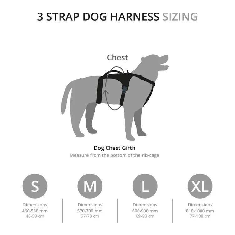 Mountain Paws 3-Strap Dog Harness - Image 11