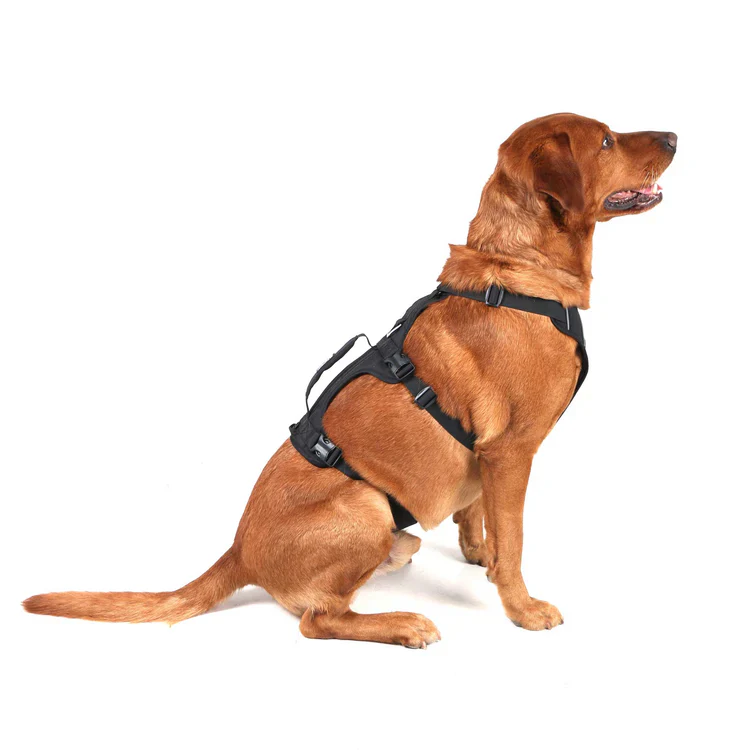 Mountain Paws 3-Strap Dog Harness - Image 4