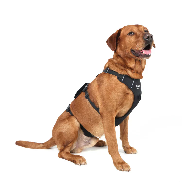 Mountain Paws 3-Strap Dog Harness - Image 5