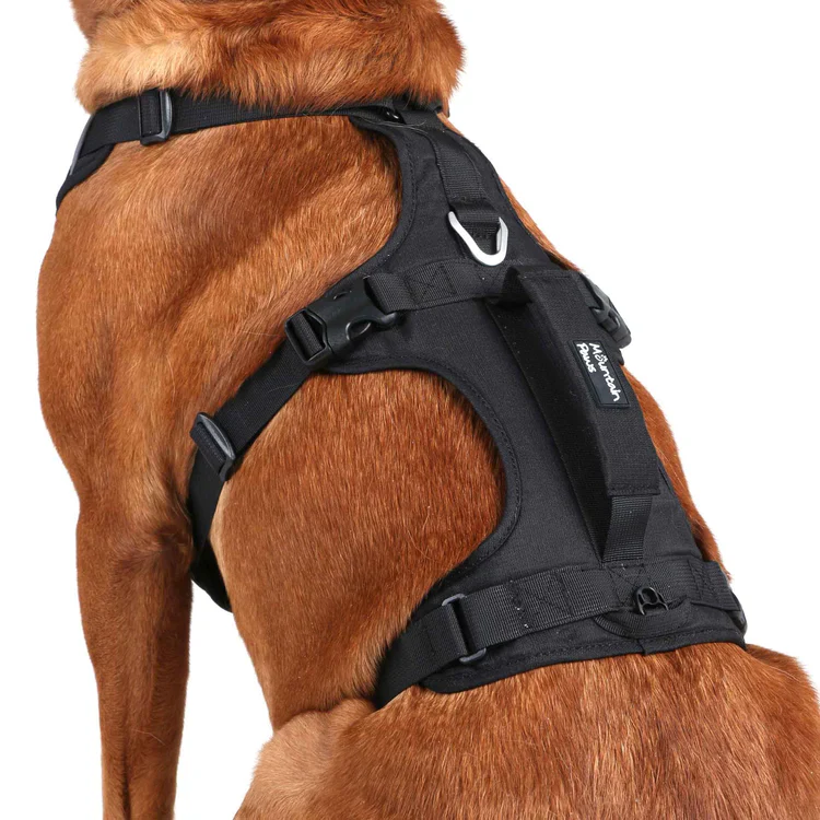 Mountain Paws 3-Strap Dog Harness - Image 6