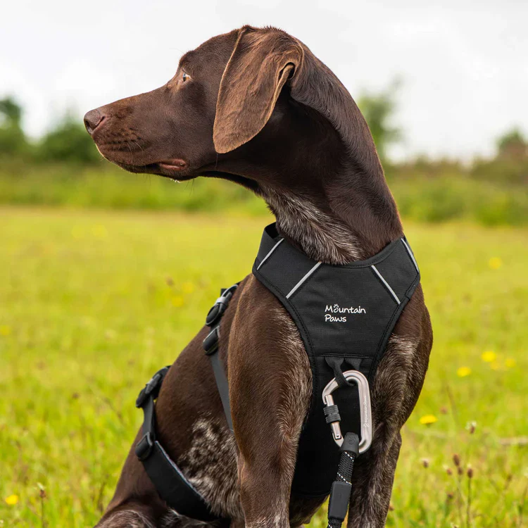 Mountain Paws 3-Strap Dog Harness - Image 7