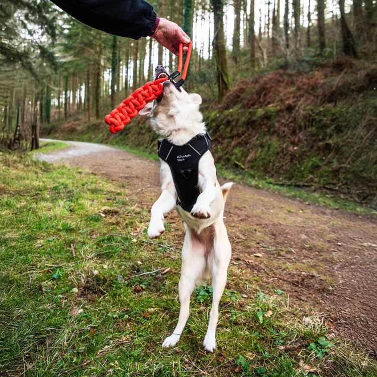 Mountain Paws Braided Chew Rope Dog Toy - Image 6
