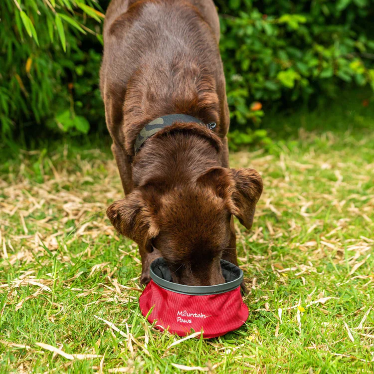 Mountain Paws Collapsible Dog Water Bowl - Image 2