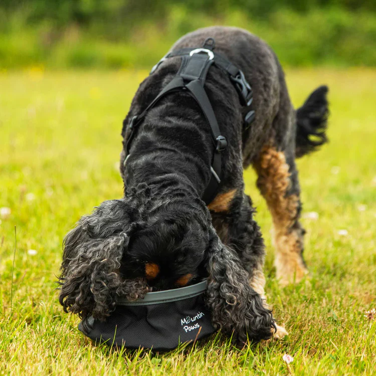 Mountain Paws Collapsible Dog Water Bowl - Image 4
