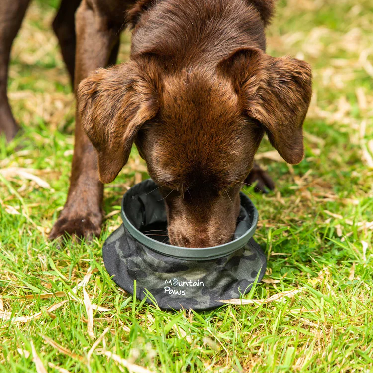 Mountain Paws Collapsible Dog Water Bowl - Image 6