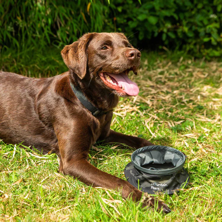 Mountain Paws Collapsible Dog Water Bowl - Image 7