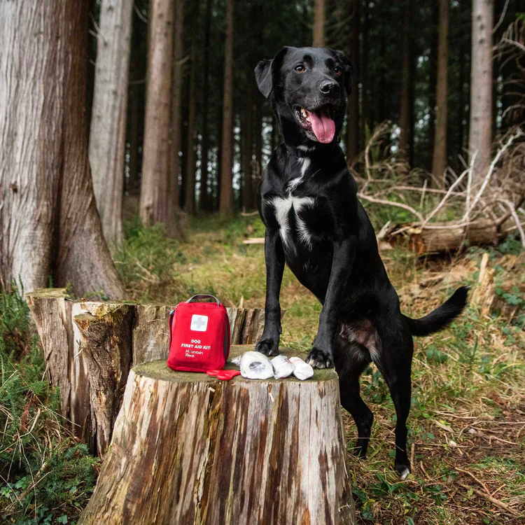 Mountain Paws Dog First Aid Kit - Image 3