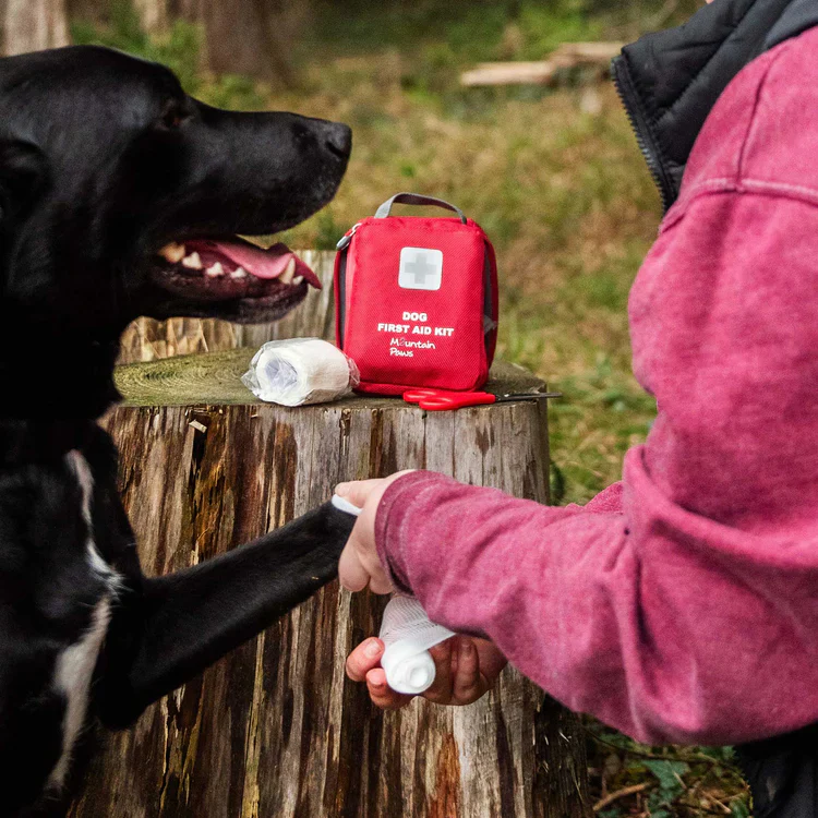 Mountain Paws Dog First Aid Kit - Image 5