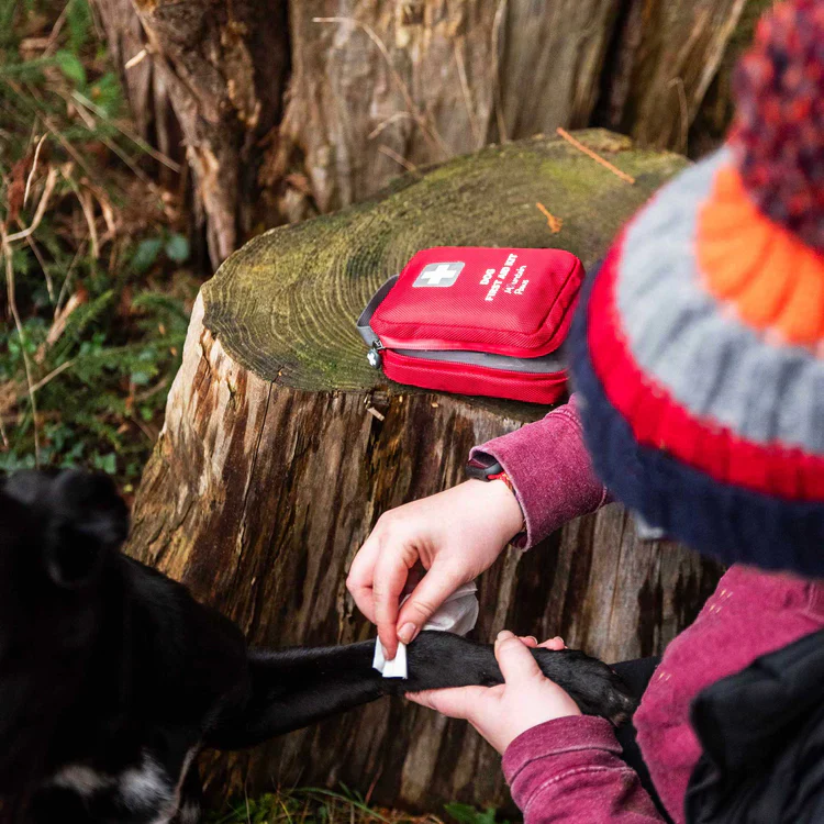 Mountain Paws Dog First Aid Kit - Image 6