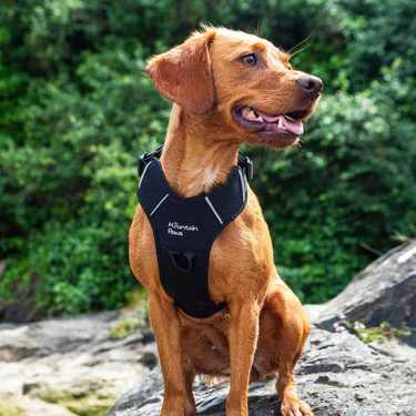 Mountain Paws Dog Harness - Image 2