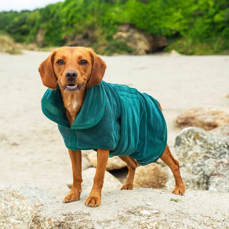 Mountain Paws Dog Robe - Image 13