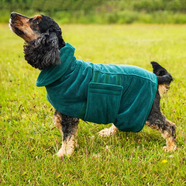 Mountain Paws Dog Robe - Image 15