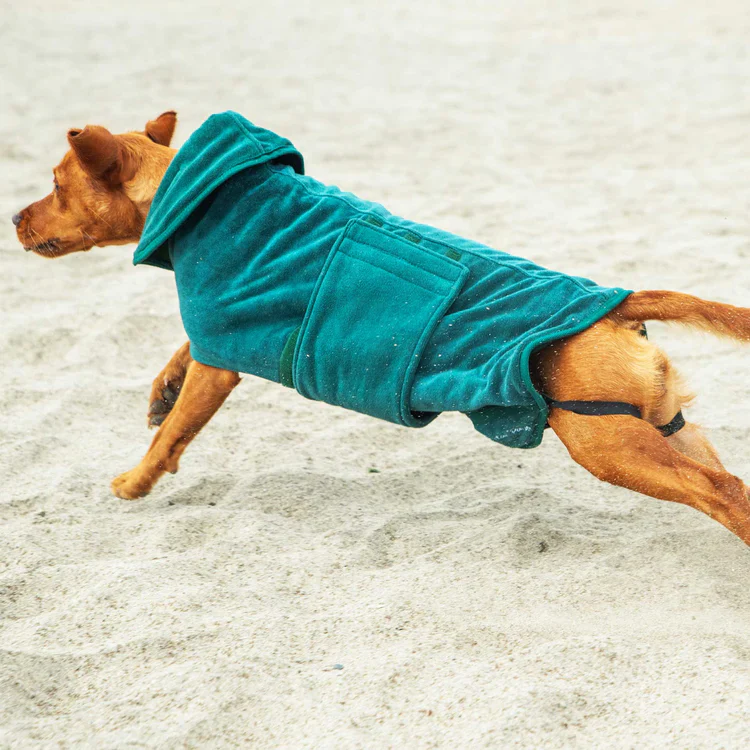 Mountain Paws Dog Robe - Image 17
