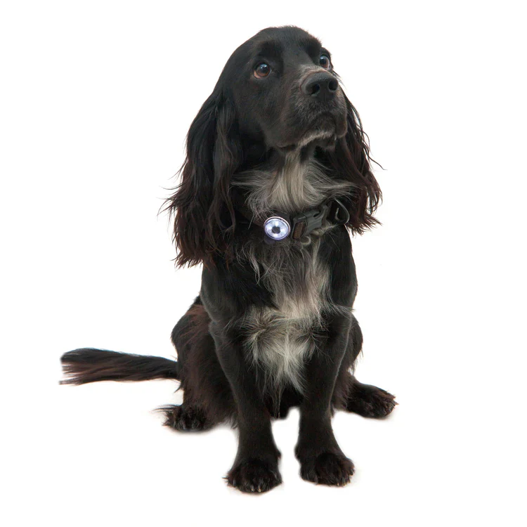 Mountain Paws Dog Safety Light - Image 7