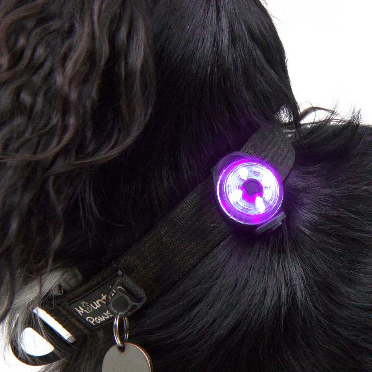 Mountain Paws Dog Safety Light - Image 8