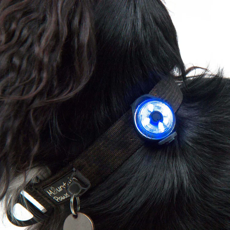 Mountain Paws Dog Safety Light - Image 9