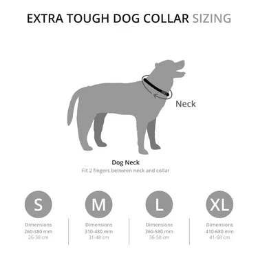 Mountain Paws Extra Tough Dog Collar - Image 15