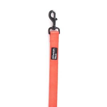 Mountain Paws Extra Tough Dog Lead - Image 11