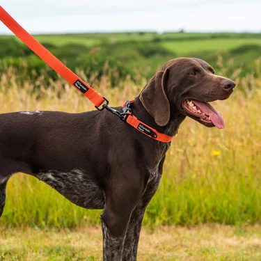Mountain Paws Extra Tough Dog Lead - Image 12