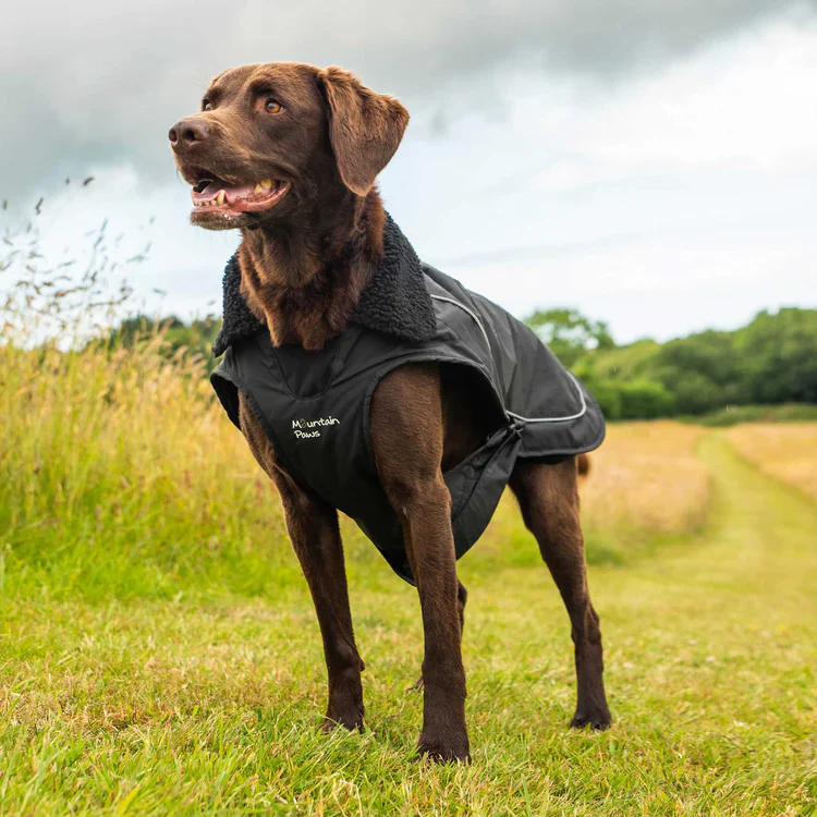 Mountain Paws Fleece Lined Dog Raincoat - Image 6