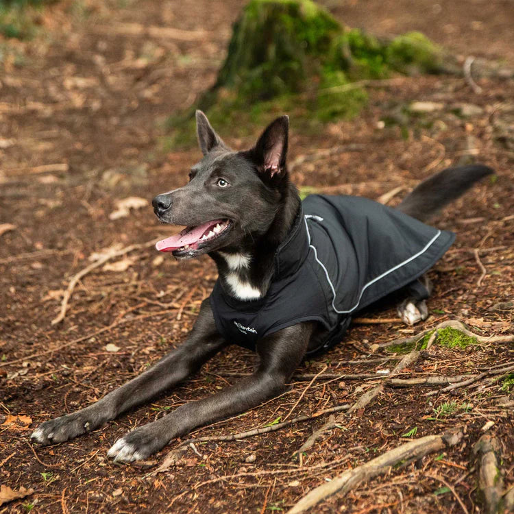 Mountain Paws Fleece Lined Dog Raincoat - Image 8