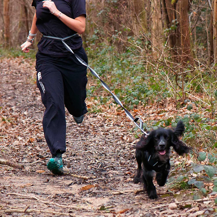 Mountain Paws Shock Absorber Dog Lead - Image 2