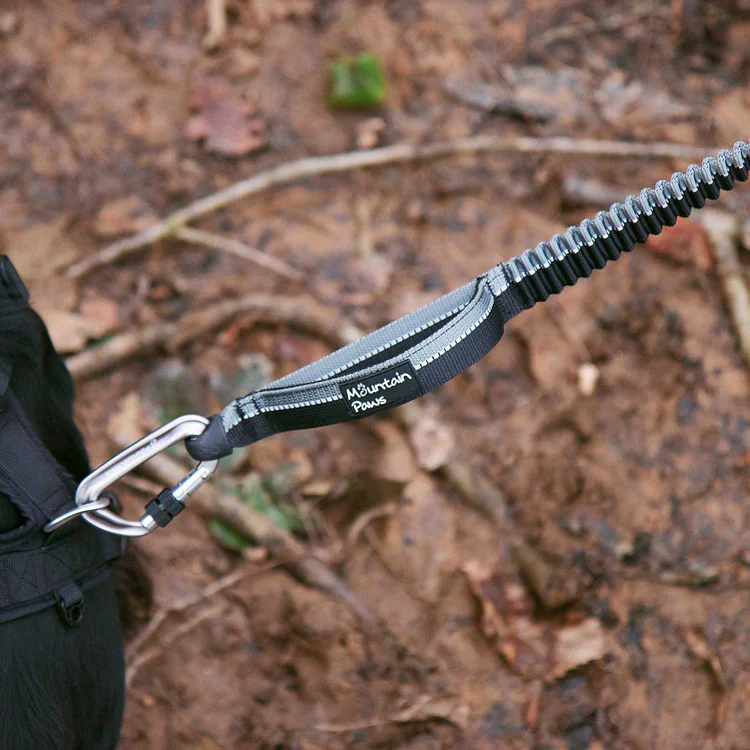 Mountain Paws Shock Absorber Dog Lead - Image 6