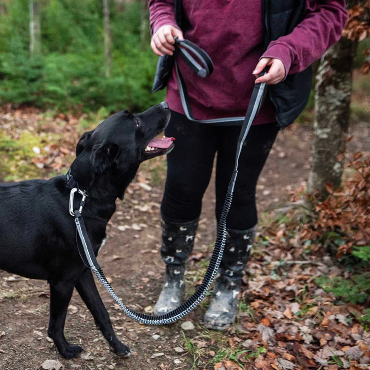 Mountain Paws Shock Absorber Dog Lead - Image 7