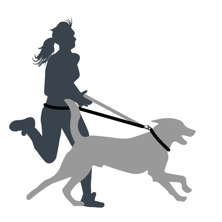 Mountain Paws Shock Absorber Dog Lead - Image 8