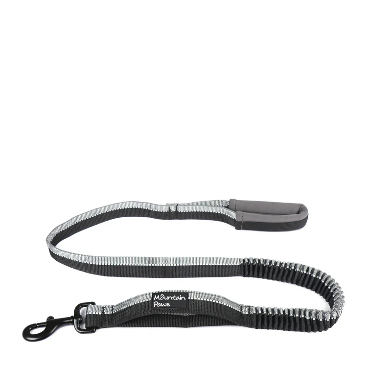 Mountain Paws Stretch Dog Lead