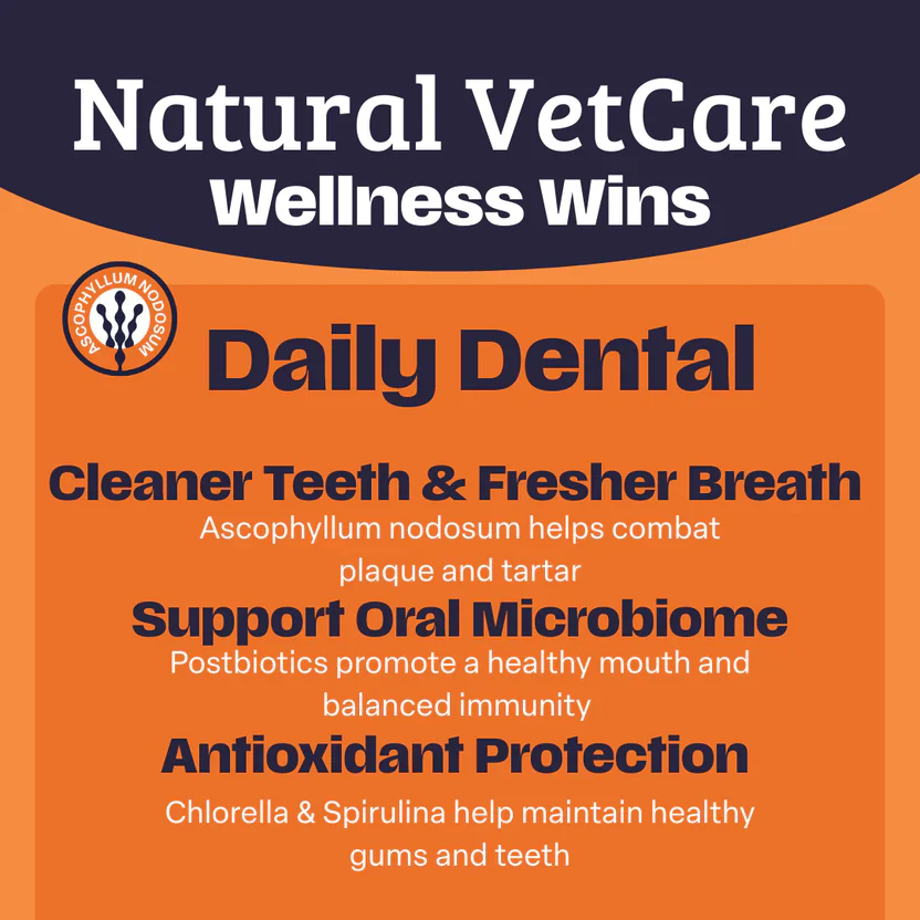 Natural Vet Care Daily Dental Powder for Dogs - Image 2