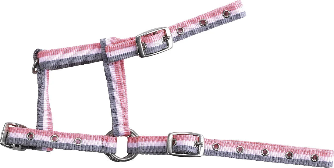 Norton Adjustable Foal Headcollar