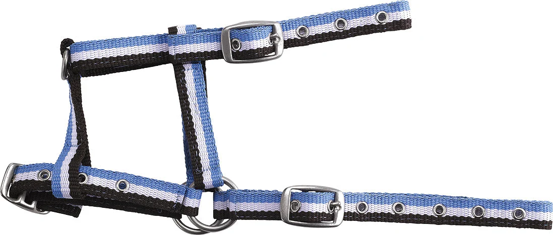 Norton Adjustable Foal Headcollar - Image 5