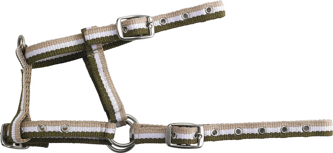 Norton Adjustable Foal Headcollar - Image 6