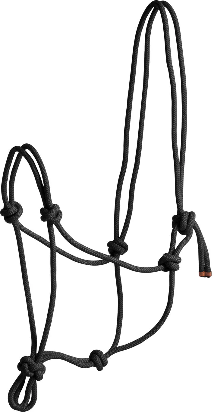 Norton First Rope Headcollar