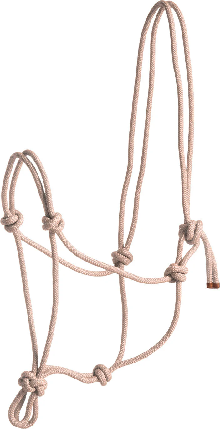 Norton First Rope Headcollar - Image 4