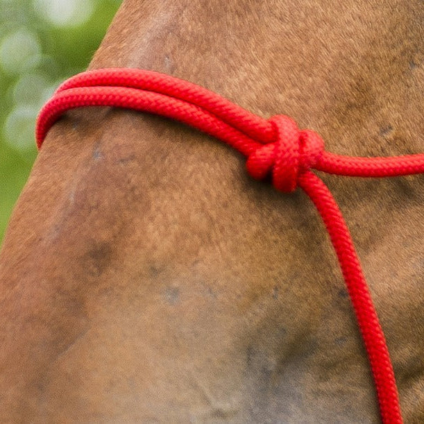 Norton First Rope Headcollar - Image 7