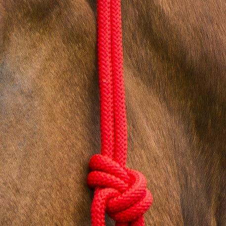 Norton First Rope Headcollar - Image 8