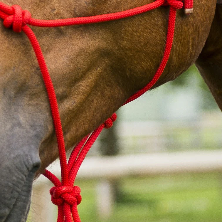 Norton First Rope Headcollar - Image 9