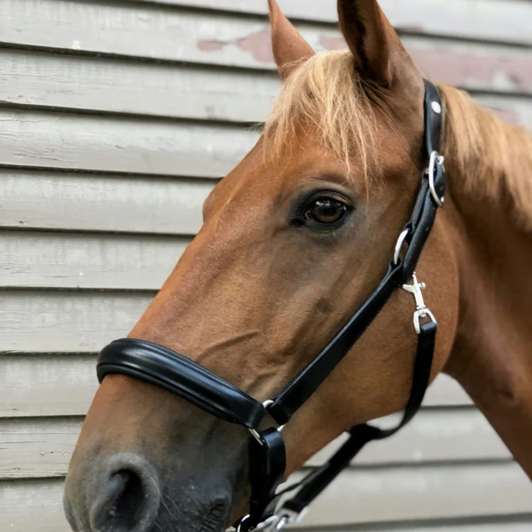 Norton Pro Anatomical Head Collar