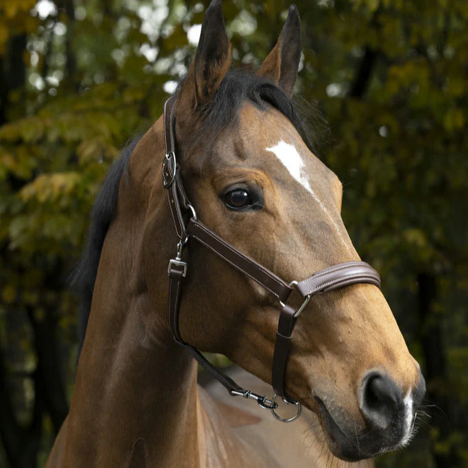 Norton Pro Anatomical Head Collar - Image 5