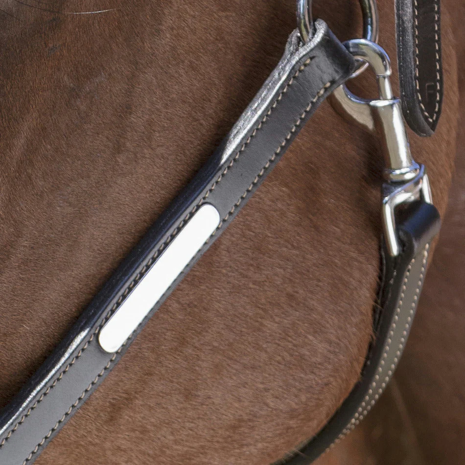 Norton Pro Grooming Leather Headcollar - Image 3