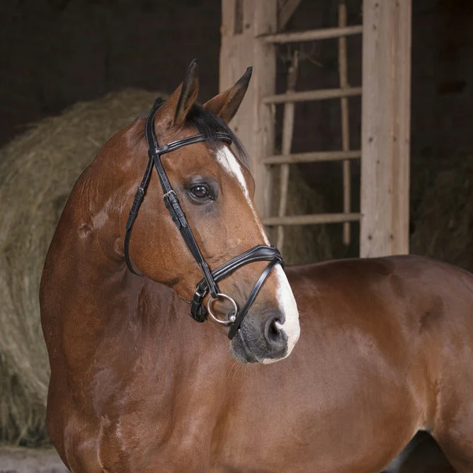 Norton Pro Vague Bridle - Image 2
