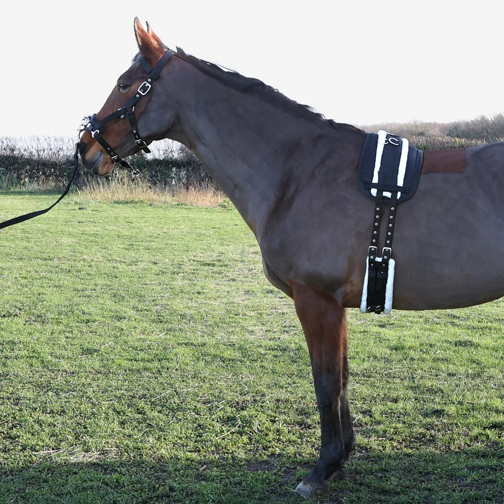 Hy Equestrian Lunge Roller Pad - Image 3