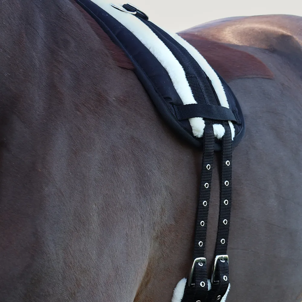 Hy Equestrian Lunge Roller Pad - Image 4