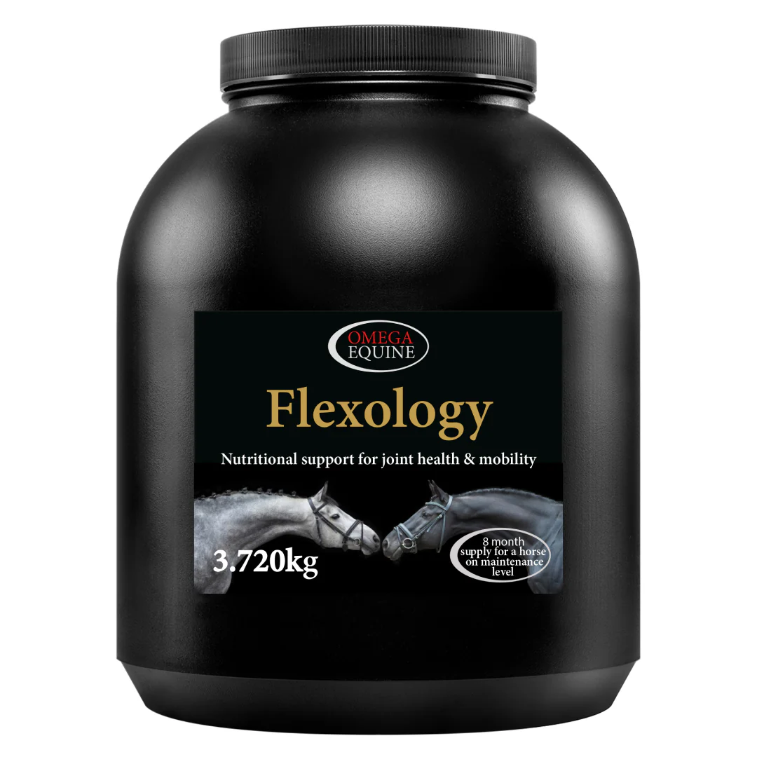 Omega Flexology - Image 2