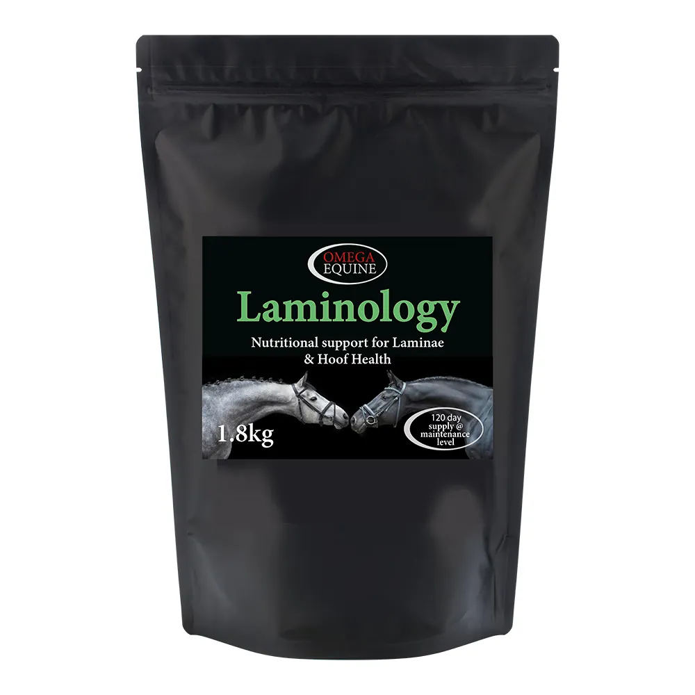 Omega Laminology - Image 2